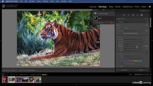 04-06 - Lightroom manual masks Brush, linear gradient, and radial gradient смотреть онлайн