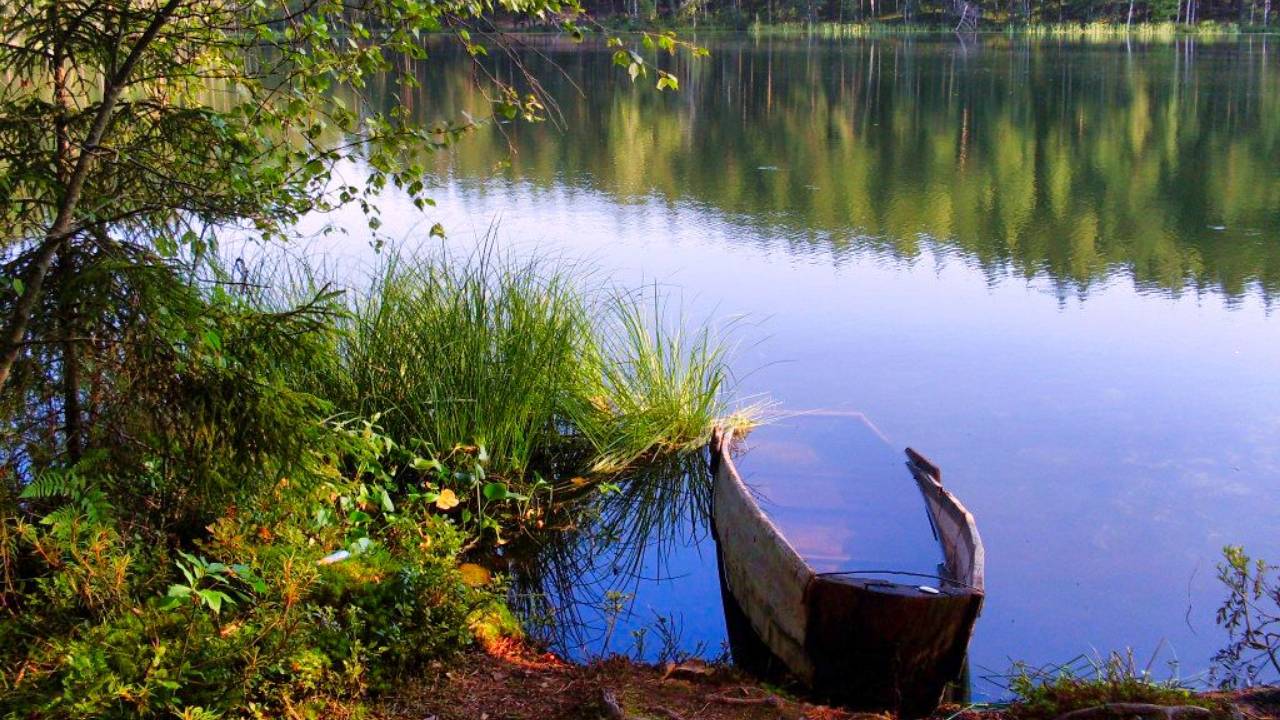 Михаил Боярский и Ольга Зарубина - Небо детства смотреть онлайн