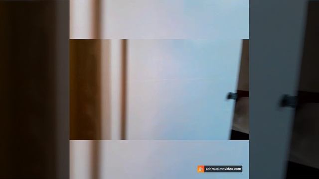 11785687 смотреть онлайн