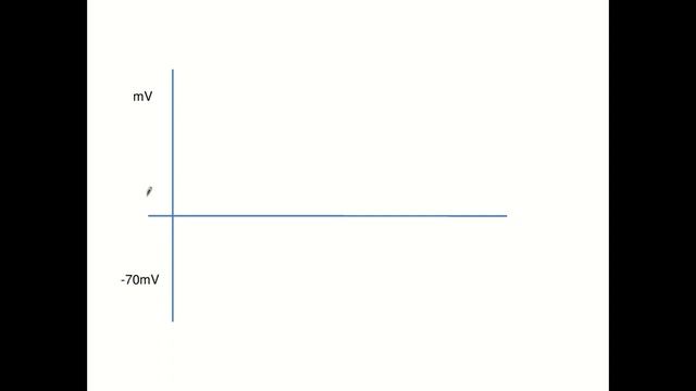 Introdução ao Sistema Nervoso Autônomo смотреть онлайн