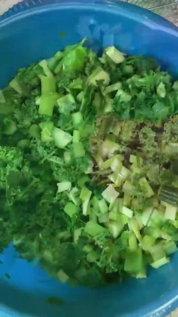 Organic Green Juice | Kale Spinach Cucumber Celery | Healthy Living | VEGAN