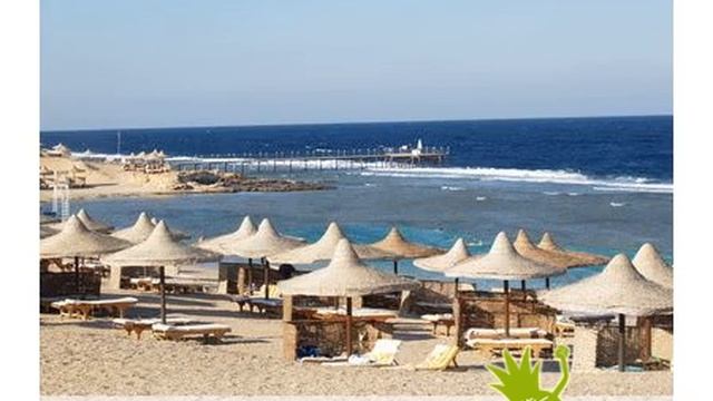Offerte ROULETTE HOTEL MARSA ALAM EL QUSEIR Marsa Alam Mar Rosso by Olta = On Line Travel A смотреть онлайн