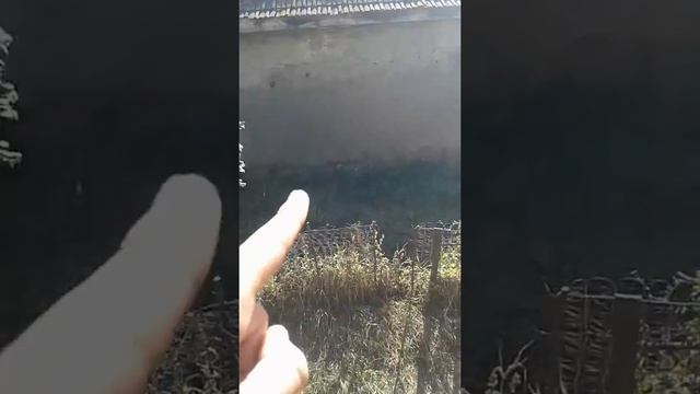 Прыгаем с крыши