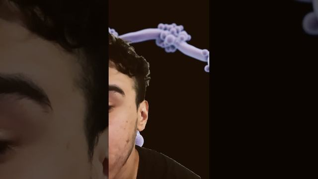 Candida Auris: The Mysterious and Deadly Fungal Infection Spreading Across the Globe. смотреть онлайн