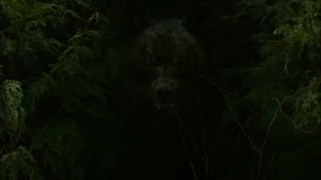 Another New Moon Story