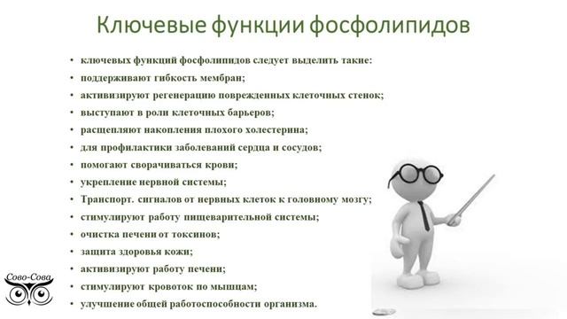 О печени, о масле Печенол компании ООО Сово-Сова. Роль фосфолипидов в организме человека. смотреть онлайн