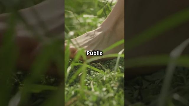 Grounding & Earthing: No Replication for It! смотреть онлайн