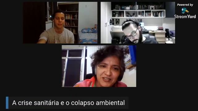 A crise sanitária e o colapso ambiental - Seminário Coronavírus, Recessão e Instabilidade смотреть онлайн