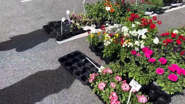 Цены в Эстонии 2024 . Что можно купить на субботнем деревенском рынке #таещекулинарка смотреть онлайн