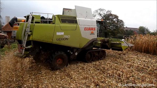 Claas Lexion 750 mais dorsen 2013 - Hoornaert Rogghe uit Vinkt смотреть онлайн
