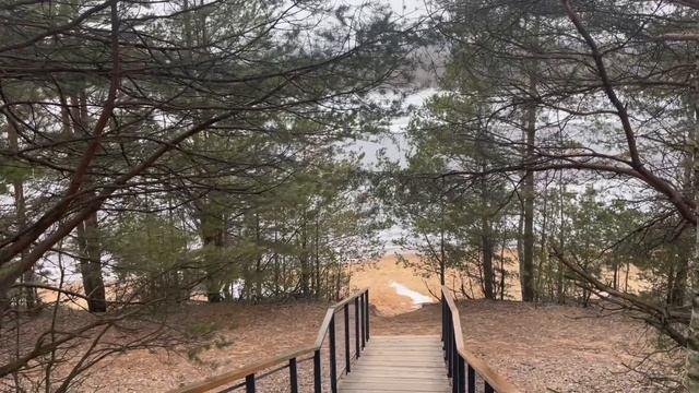 г. Бор, парк « Моховые горы ». Нижегородская область. смотреть онлайн