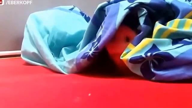 Как дела у самой красивой девушки на свете смотреть онлайн