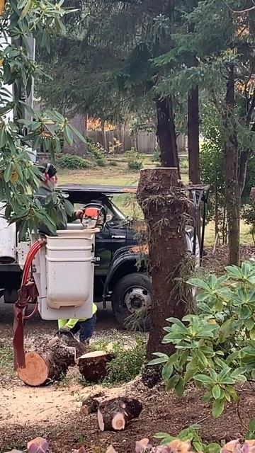 POWER CHIPPER SHREDDER TREES смотреть онлайн