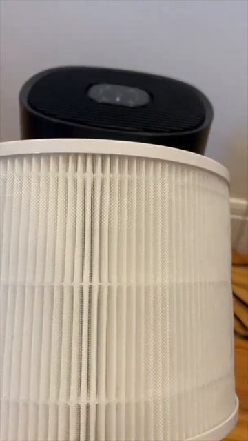 Is it allergies or just dirty air? PuroAir Air Filter can help! #ad #commissionsearned смотреть онлайн
