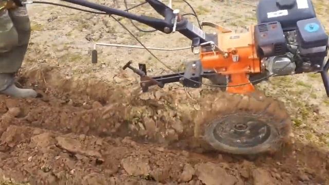 Первый раз пашем плугом на мотоблоке 