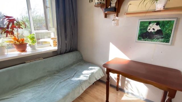 Шелеста 36 смотреть онлайн