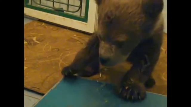 не хочу на весы смотреть онлайн