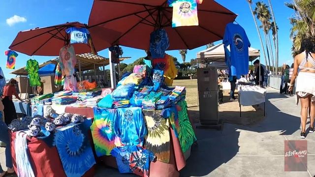 Sunday Funday | La Jolla Cove | San Diego, Ca. смотреть онлайн