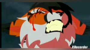 коти воители клип кленовница кубики под брось