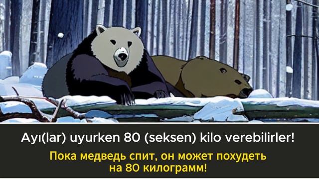 Медленная практика чтения на турецком языке с носителем языка для начинающих - урок 3 смотреть онлайн
