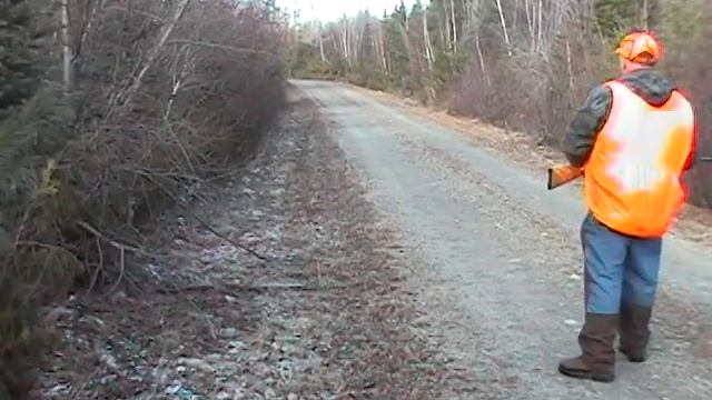 Snowshoe Hare Hunting with Beagles = a Chess Match смотреть онлайн