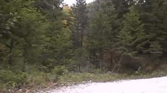 1 (of 7) 26.2 Mile MARATHON JOG of AUSTRIAN ALPS, Zion, Mt. Whitney Trails in 8 hours. 1MkZiMw8hrM смотреть онлайн