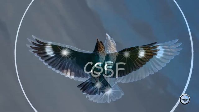 桃花鄉 竹笛 2022 11 28 佛法僧 ( 三寶鳥 ) New Logo смотреть онлайн