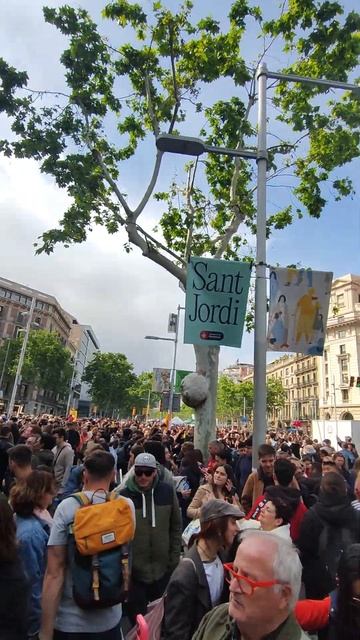 В Барселоне праздник Sant Jordi #shortsviral #travel #shortsvideo #испания #shorts #барселона