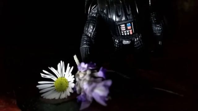 Darth Vader visits Padme's grave on Naboo | Stop-Motion Animation. смотреть онлайн
