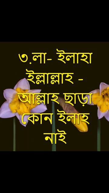 পৃথিবীর শ্ৰেষ্ঠ ও দামি ৪টি কথা