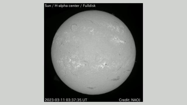 太陽 Hα全面観測 全面画像 2023年3月11日(Sun H-alpha Full Scale Observation, Full Image, Mar. 11, 2023) смотреть онлайн