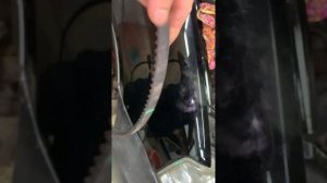 Метки на ГРМ Logan 1.4 8кл..