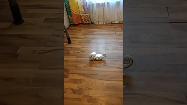 Робот хамелеон смотреть онлайн