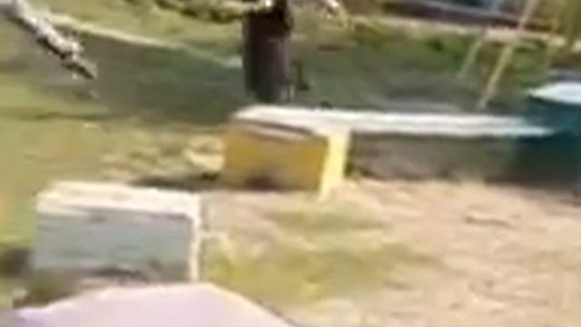 один всех 2 смотреть онлайн