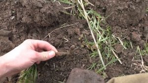 Вода ушла, нашли дорогие монеты! Обнаружили редкие находки на дне реки! Раскопки с металлоискателем