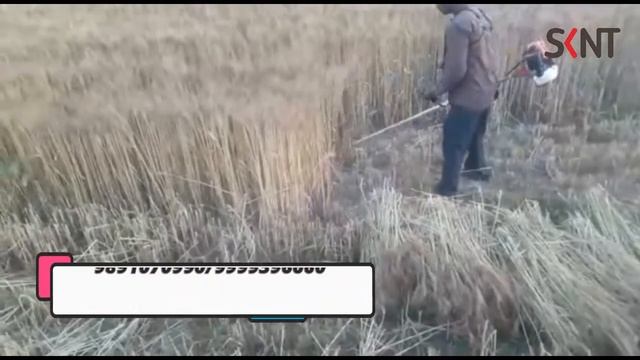 Smarter KN Tools BRUSH CUTTER ROCKSTAR WHEAT CUTTING PERFORMANCE смотреть онлайн
