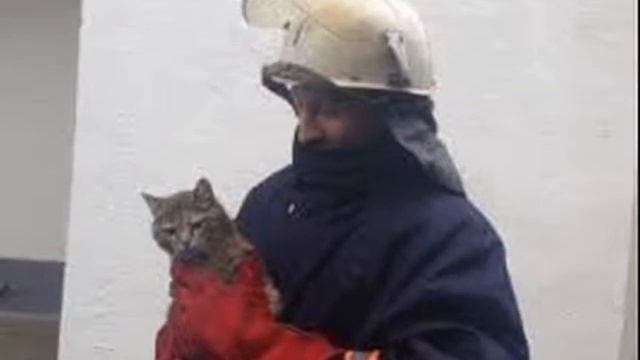 Звёзды+ смотреть онлайн