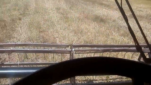 Обзор комбайна MASSEY FERGUSON 7246 смотреть онлайн