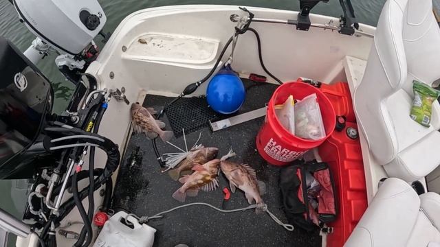 Rockfish And Crabbing In HMB: Main Motor Stopped Working.