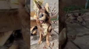 Остара магический праздник весеннего равноденствия 🔮