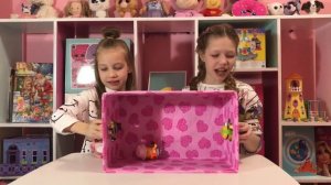 Челлендж - Угадай Что в коробке?