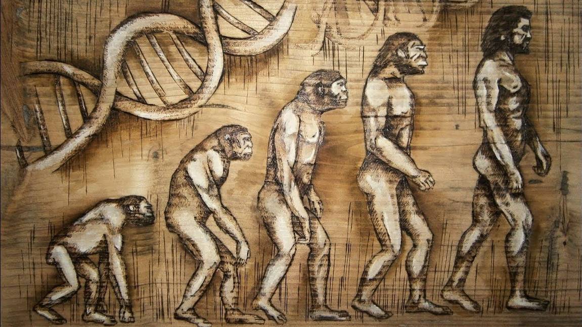 Как появился человек. 4 ТЕОРИИ ПРОИСХОЖДЕНИЯ ЧЕЛОВЕКА. Документальный фильм. смотреть онлайн