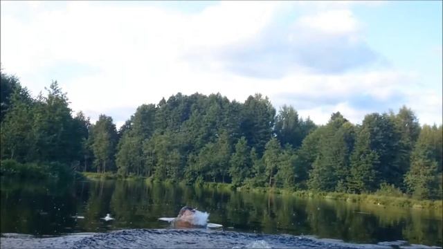 Лето ОЛОЛО смотреть онлайн