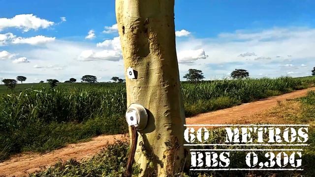 TESTE DISTÂNCIA NEPTUNE ROSSI AR15 10'