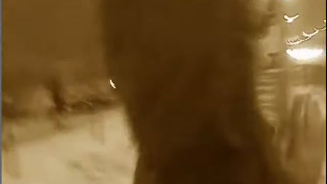 The Escapist - The Streets