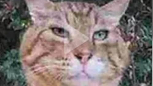 ээээ ээ я не знаю