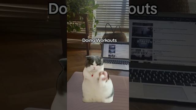 Daily routine смотреть онлайн