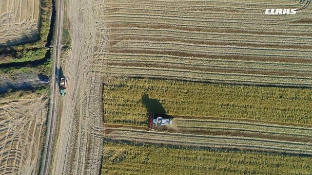 CLAAS In Campo Tour del Riso смотреть онлайн
