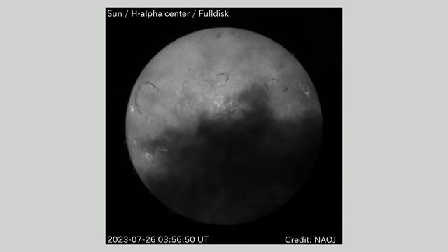 太陽 Hα全面観測 全面画像 2023年7月26日(Sun H-alpha Full Scale Observation, Full Image, July. 26, 2023) смотреть онлайн