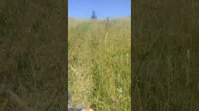 юпитер 5 едет в гору (маркаколь 28/07/17.)